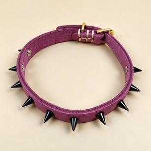 Può includere: Un collare in pelle viola caratterizzato da una serie di punte coniche nere affilate disposte lungo la fascia. Il collare include una fibbia in metallo dorato e un passante abbinato, fissati con cuciture chiare vicino alla regolazione.