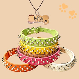 May include: A collection of five spiked pet collars in lime green, yellow, brown, pink, and orange, featuring metallic studs and buckles. Above them hangs a bone-shaped silver metal pet ID tag engraved with the text Mia I'm a diva and a paw print.