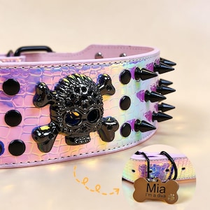 May include: Pink iridescent dog collar with black skull and crossbones, black spikes, and black studs. Includes a bone-shaped tag that says "Mia I'm a diva".