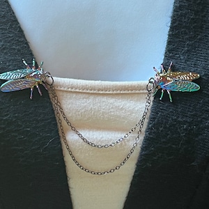 Sweater Clips: Iridescent Flies, Fly, Insect, Insects