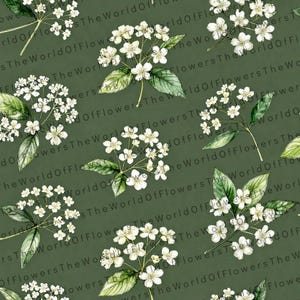 Könnte beinhalten: Ein sich wiederholendes Muster auf dunkelolivgrünem Hintergrund mit Büscheln kleiner weißer Blüten mit fünf Blütenblättern und grünen Blättern. Der Text TheWorldOfFlowers ist in einer sich wiederholenden diagonalen Sequenz aufgedruckt.