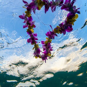 Underwater View of Colorful Heart Shaped Hawaiian Flower Lei Floating on Water Surface in Hawaii photo picture fine art metal print image 1