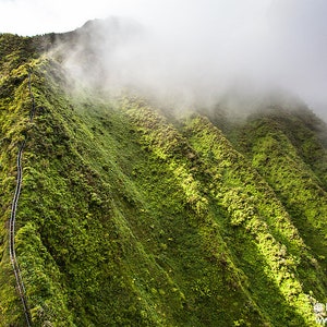 Stairway to Heaven Hiking Trail Ascending up into Mountains, Kaneohe, Oahu Hawaii photo picture fine art metal print
