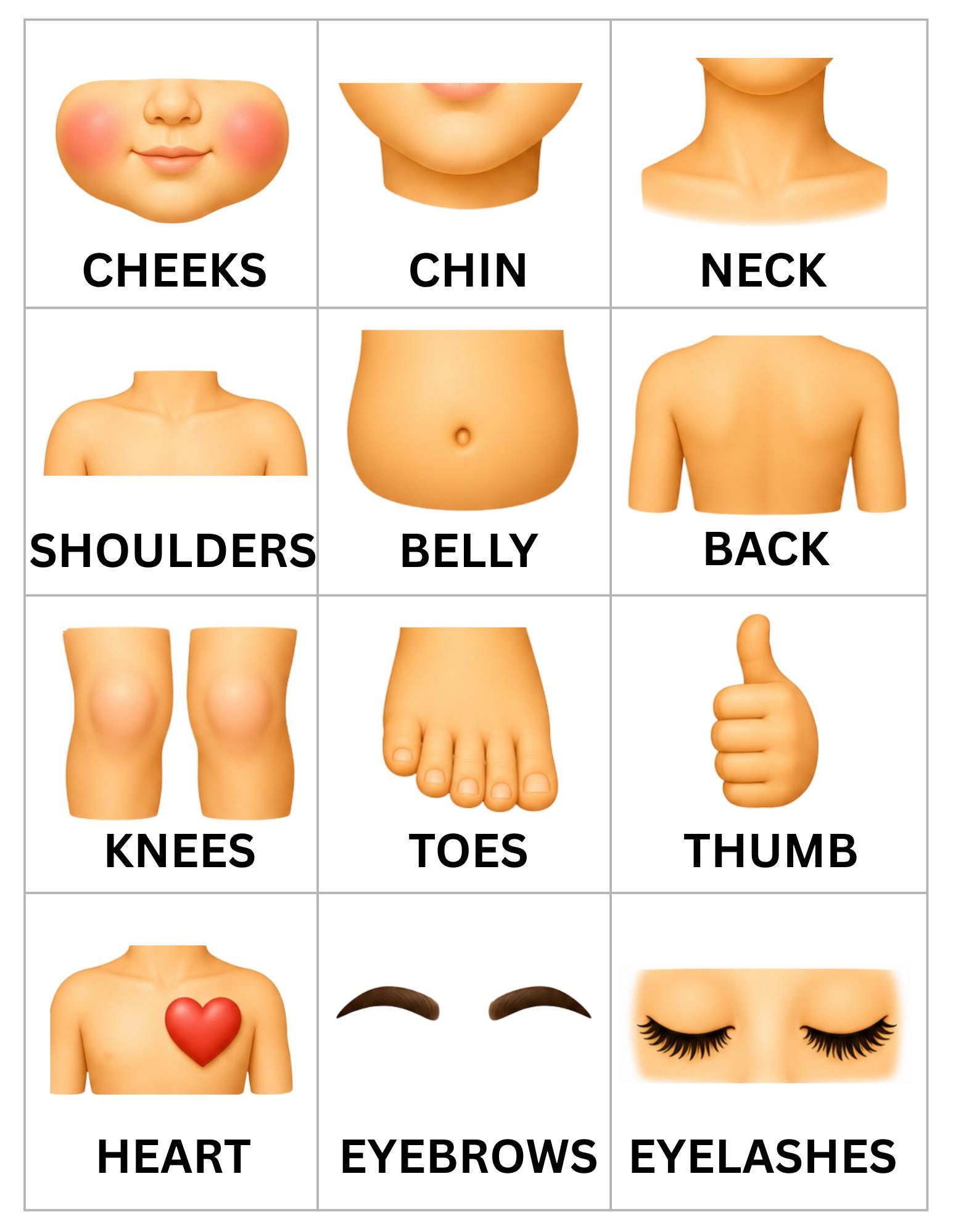 Visual Body Part Image Body Parts Visual Pack - Etsy