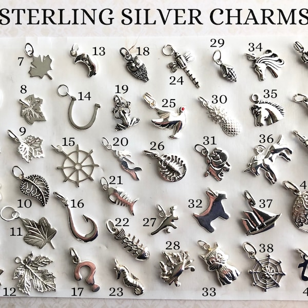 Add-On Sterling Silver Charms, Add a Charm to Necklace or Bracelet personalized love good luck fortune talismans gift for her him friend