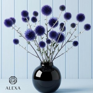 Può includere: Un bouquet di fiori di cardo con capolini sferici viola intenso e steli sottili di colore chiaro, disposti in un vaso di ceramica nero, liscio e rotondo. Il logo ALEXA con un'icona geometrica è visibile nell'angolo in basso a sinistra.