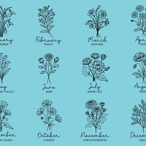May include: A collection of twelve floral illustrations, each representing a month of the year. Each drawing is a black line art of a different flower, with the month and flower name written below. The background is a light blue.
