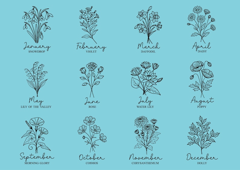 May include: A collection of twelve floral illustrations, each representing a month of the year. Each drawing is a black line art of a different flower, with the month and flower name written below. The background is a light blue.