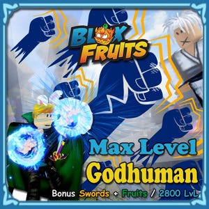 Blox Fruits LV2800 | Godhuman |Rare Items  Instant Delivery