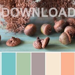 Paleta kolorów, Paleta kolorów jesieni, Paleta projektów, Oryginalna fotografia żołędzi, Paleta do pobrania, Paleta jesienna, CLMurphyCreative