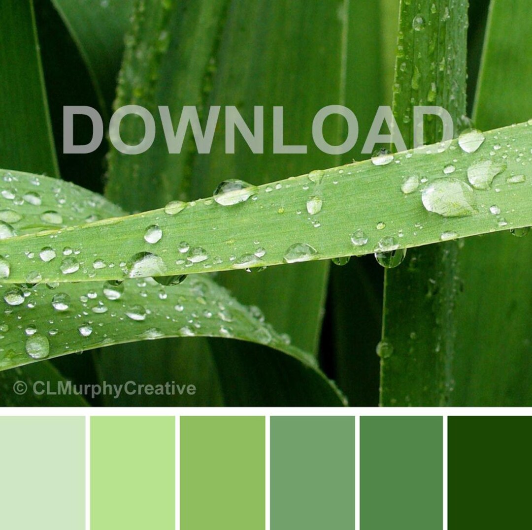 Spring Summer Color Palette, Design Color Palette, Design Palette ...