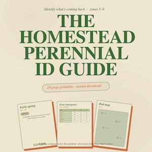 Puede incluir: La Guía de Identificación de Plantas Perennes Homestead, un imprimible de 24 páginas, presenta un título verde sobre un fondo crema. Tres páginas abiertas muestran información de jardinería, incluyendo un mapa de camas. Para jardineros.