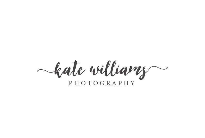 Premade Photography Logo and Watermark, Classic Elegant Script Font Watercolor Calligraphy Logo 280 image 1