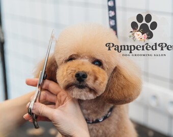 Dog Grooming Logo, Dog Spa Bath Logo Design, Paw Boutique Logo,  Watercolor Pet Sitting Logo, Premade Custom business Logo 570