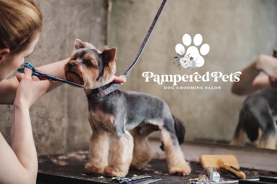 Dog Grooming Logo, Dog Spa Bath Logo Design, Paw Boutique Logo