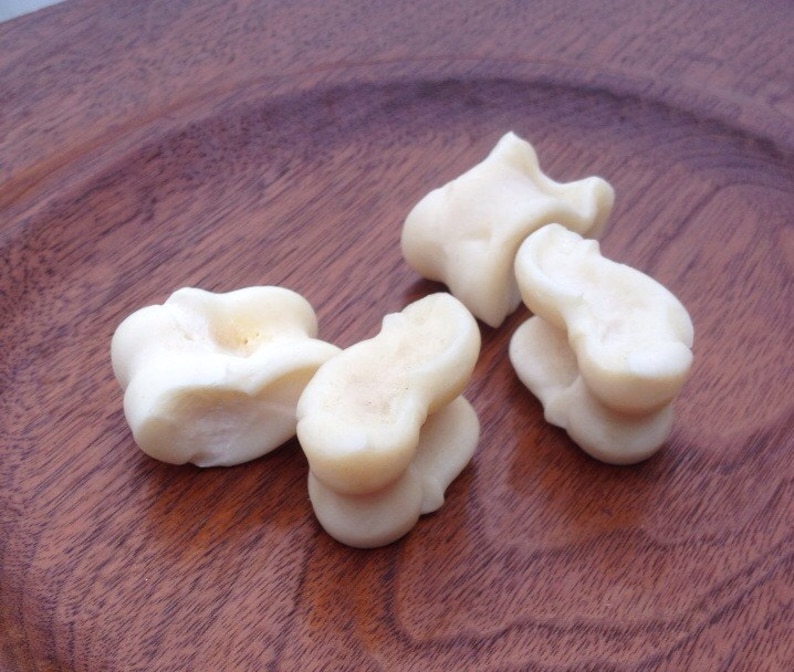 Viking Gambling Bones~ Deer Astragalus Talus Knuckle Bones ~ Divination Bones~ Norse Viking Gambling Set ~Viking Games~ Bone Jacks image 4
