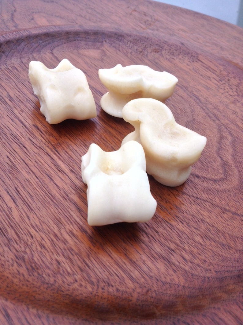 Viking Gambling Bones~ Deer Astragalus Talus Knuckle Bones ~ Divination Bones~ Norse Viking Gambling Set ~Viking Games~ Bone Jacks image 2
