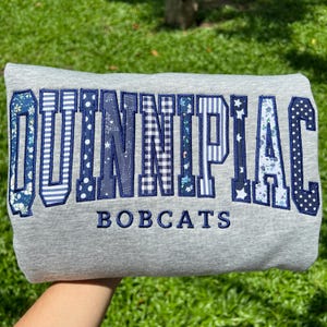 School Athletics Sweatshirt, Custom Sports Team Varsity Crewneck, Personalized Embroidered Patchwork Applique