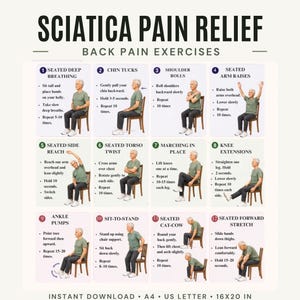 Ejercicios para aliviar el dolor de ciática / Estiramientos para la movilidad de la zona lumbar y la cadera / Póster imprimible para personas mayores (descarga digital)