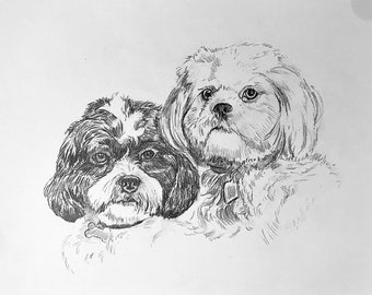 Pet Portrait Drawing 8x10