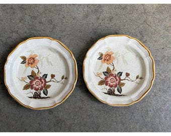 Mikasa Garden Club Imperial Garden EC 459 Salad Plates Set of 2 Floral Japan