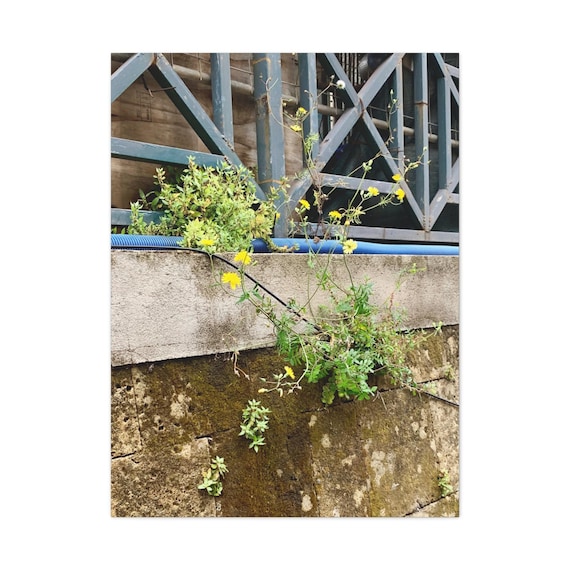 Botanical Urban Wall Art Canvas Framed or Stretched Matte