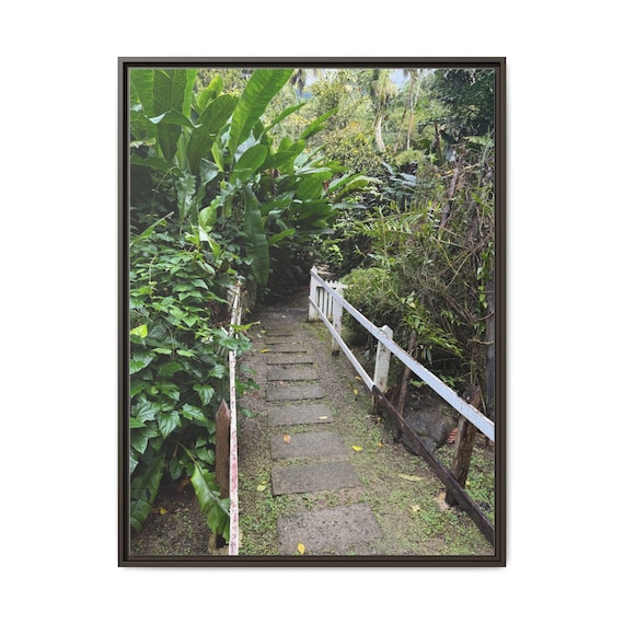 Tropical Garden Path Canvas Wall Art — Framed or Stretched