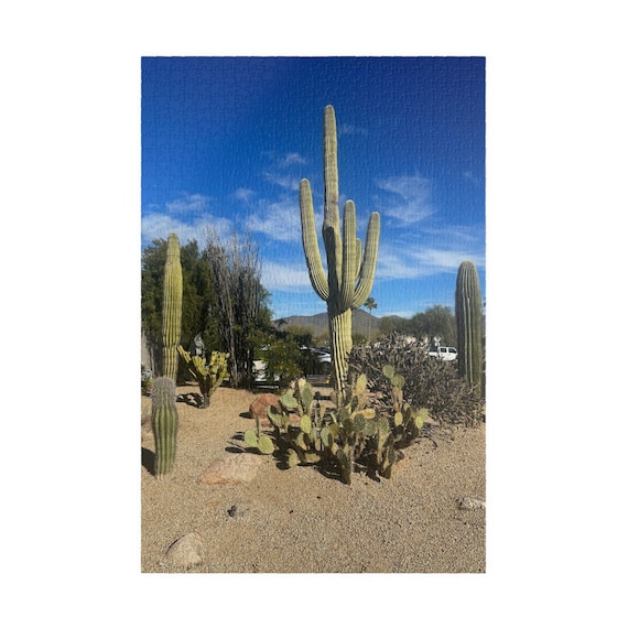 Saguaro Cactus Desert Scene Puzzle