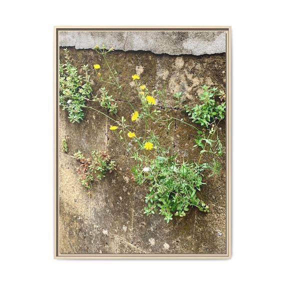Botanical Wall Canvas Art — Wildflowers on Rustic Concrete Framed or Stretched Matte