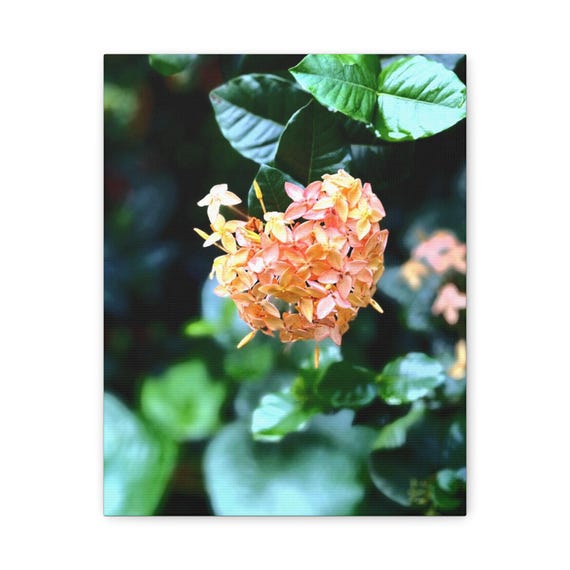 Botanical Floral Wall Art Canvas Print