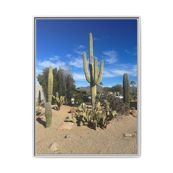 Desert Cactus Landscape Canvas Wall Art — Saguaro Southwest Photography