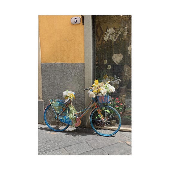 Floral Bicycle Puzzle 520 Piece | Rustic Window Street Scene