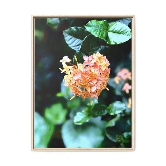 Tropical Orange Flower Canvas Print — Framed or Stretched Wall Art