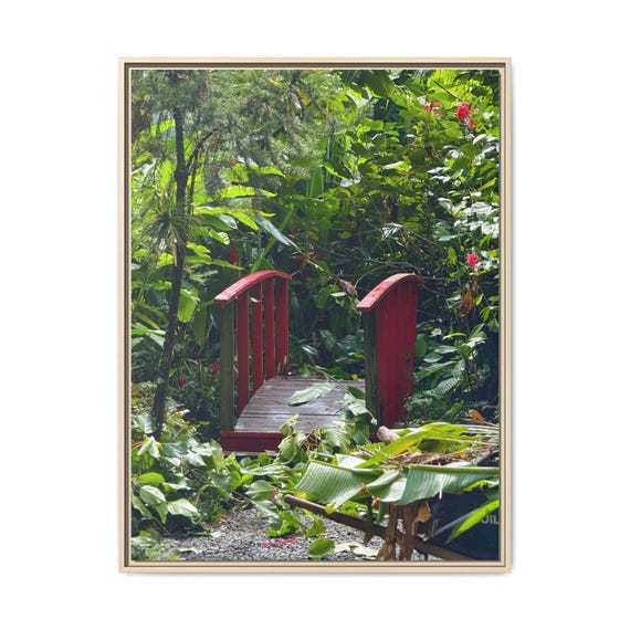 St Lucia Tropical Garden Red Bridge Canvas Wall Art Framed or Stretched