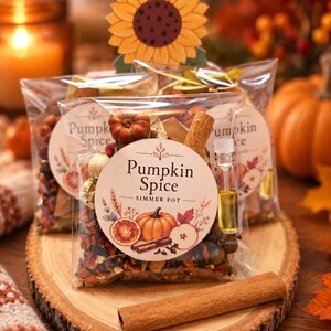Pumpkin Spice Simmer Pot | Fall Simmer Pot Kit | Fall Potpourri