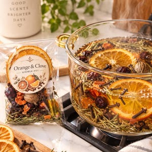 Sweet Orange & Clove Simmer Pot Kit | Fall Simmer Pot | Autumn Potpourri | Warm Citrus Blend