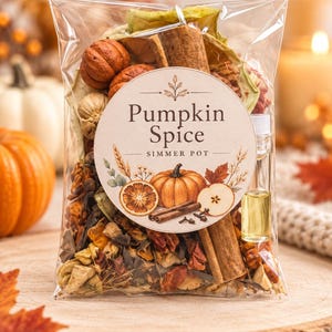 Pumpkin Spice Simmer Pot | Fall Simmer Pot Kit | Fall Potpourri