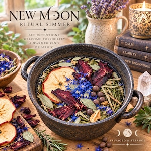 New Moon Ritual Simmer Pot | Botanical Home Fragrance, Intention Setting Gift