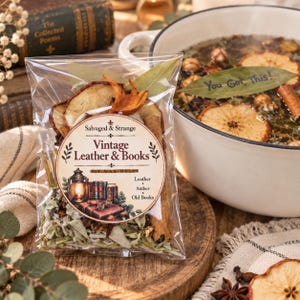 Vintage Leather & Books Simmer Pot Kit | Positive Affirmation Blend | Cozy Reading Nook Fragrance