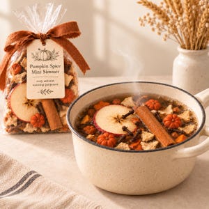May include: A clear plastic bag of Pumpkin Spice Mini Simmer stovetop potpourri with a brown ribbon and tag, next to a speckled ceramic pot filled with water, apple slices, cinnamon sticks, cloves, and small orange pumpkin-shaped pieces.