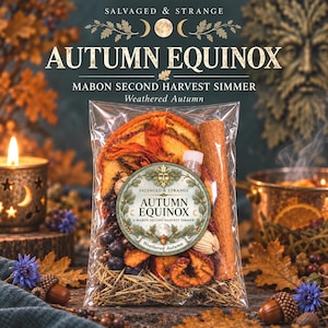 May include: A clear plastic bag containing a potpourri simmer mix of dried orange slices, a large cinnamon stick, dark berries, pine needles, and small botanicals. A circular label features the text Autumn Equinox, Mabon Second Harvest Simmer.