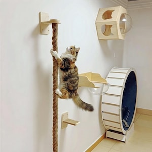 May include: A wall-mounted cat activity set featuring a thick vertical sisal rope, a wooden platform with a clear acrylic dome, a small rectangular shelf, a hexagonal wooden enclosure with a clear bubble window, and a large circular exercise wheel.
