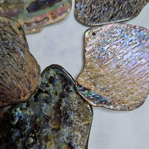 Puede incluir: Un conjunto de colgantes de concha de abulón planos e irregulares con superficies iridiscentes que muestran patrones de remolinos en azul, verde, morado y dorado. Cada pieza tiene un pequeño orificio circular perforado cerca del borde superior.