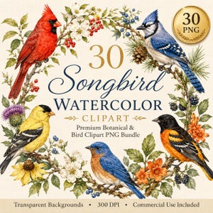 Op de afbeelding: Een digitale collectie van 30 aquarel clipart-afbeeldingen van zangvogels, waaronder een rode kardinaal, blauwe gaai, gele putter, blauwe vogel en wielewaal op botanische takken. De tekst luidt 30 Songbird Watercolor CLIPART.