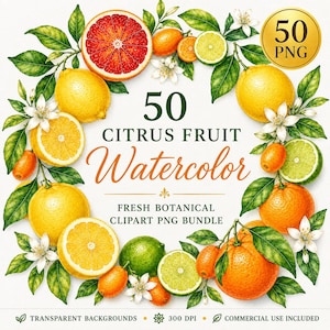 Könnte beinhalten: Eine digitale Sammlung von 50 Aquarell-Illustrationen von Zitrusfrüchten, darunter Orangen, Zitronen, Limetten und Grapefruits mit grünen Blättern und weißen Blüten. Der Text lautet 50 CITRUS FRUIT Watercolor FRESH BOTANICAL CLIPART PNG BUNDLE.