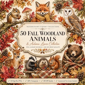 Op de afbeelding: Een digitale collectie van 50 aquarel clipart afbeeldingen van bosdieren en herfstbladeren. De afbeelding toont een vos, uil, hert, beer, das, egel, eekhoorn en chipmunk omringd door rode en oranje bladeren, dennenappels en paddenstoelen.