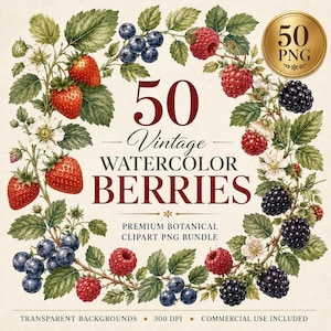 May include: A digital collection of 50 vintage watercolor berries featuring strawberries, blueberries, raspberries, and blackberries with green leaves and white flowers arranged in a frame. Text reads 50 Vintage Watercolor Berries Premium Botanical Clipart PNG Bundle.