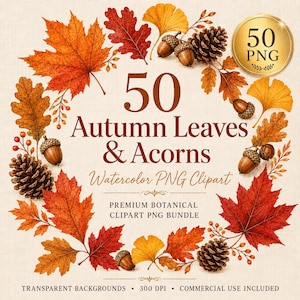 May include: A digital collection of 50 watercolor autumn leaves, acorns, and pinecones arranged in a circular wreath. The text reads 50 Autumn Leaves & Acorns Watercolor PNG Clipart, Premium Botanical Clipart PNG Bundle, Transparent Backgrounds, 300 DPI.