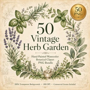 May include: A digital graphic featuring a wreath of hand-painted watercolor herbs including lavender, basil, and rosemary. The text reads 50 Vintage Herb Garden, Hand-Painted Watercolor Botanical Clipart PNG Bundle, 100% Transparent Backgrounds, 300 DPI, Commercial License Included, and 50 PNG.