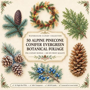 May include: A digital collection of watercolour botanical illustrations featuring pinecones, evergreen branches, a wreath, and juniper berries. The central text reads: WATERCOLOR CLIPART COLLECTION 50 ALPINE PINECONE CONIFER EVERGREEN BOTANICAL FOLIAGE.